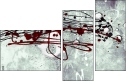 66720090