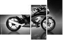 66895628