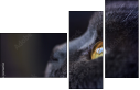 67261784