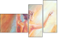 67769560