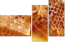 68182564