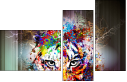 68720496