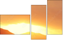 69150407