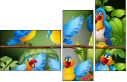 69310378