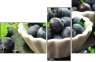 69394583