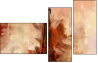 69563598