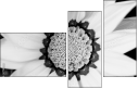 71181016