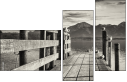 72072664