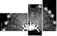 72971225