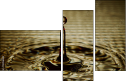 73056406