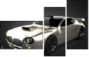 73645668