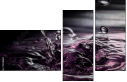 75116063
