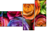 913577319