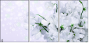 100410214