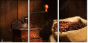 11872422