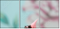 12612957