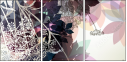 142853422