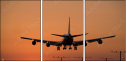 1443651