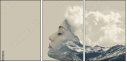 147970794