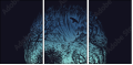 164648563