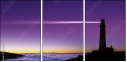 16699558
