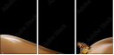 17227312