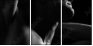 20350082