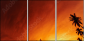 20708520