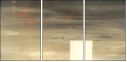 21155951