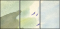 21422136