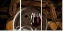 21442815