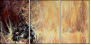 21581087