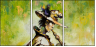 21588085