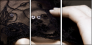21991281
