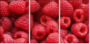 22816665