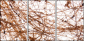 23639472