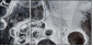 25109455