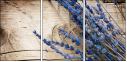 27029700
