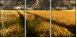 27477176