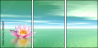29216817