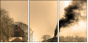 29517510