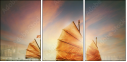 30473389