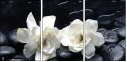 32251345