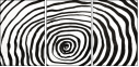 324703304
