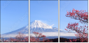 32966670