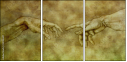 35198447