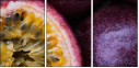 36705995