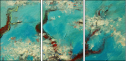 39414869