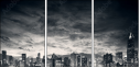 42940854