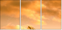 42979292